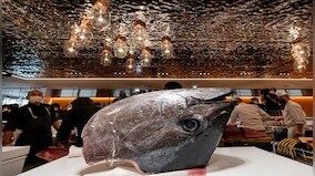 Bluefin Tuna sells for Rs 2 crore in Japan: Why is it so expensive?