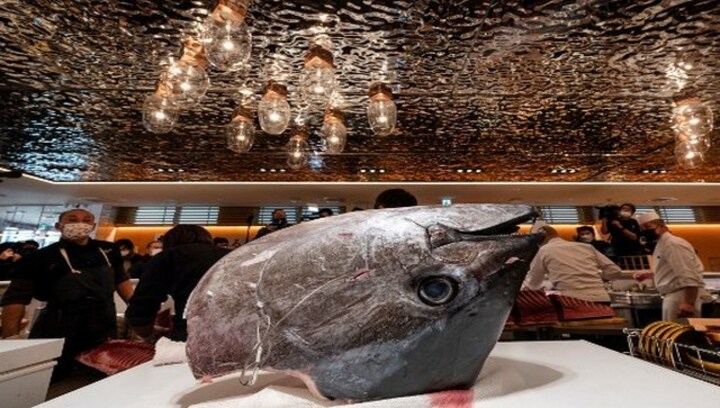 Bluefin Tuna sells for Rs 2 crore in Japan: Why is it so expensive?