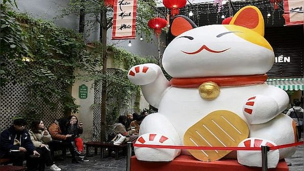 Explained: Why it's Year of The Cat and not Rabbit in Vietnam