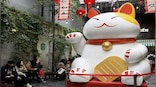 Explained: Why it's Year of The Cat and not Rabbit in Vietnam