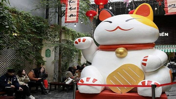 Explained: Why it's Year of The Cat and not Rabbit in Vietnam