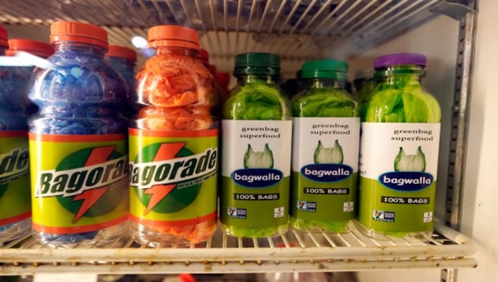 Life in Plastic, the Art is Fantastic: Michigan store gets creative