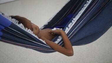 How disease and mining have ravaged Brazil's Yanomami