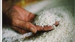 In a first, FSSAI notifies comprehensive regulatory norms for Basmati Rice