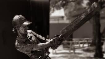 Former Australian captain Belinda Clark receives statue honour