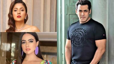 Top 5 Bigg Boss contestants who got a break in Salman Khan films