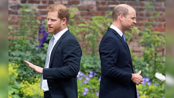 Explained | Harry & Meghan: Why has Prince Harry named his book Spare and the meaning behind it