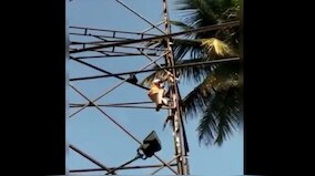 Karnataka Home Minister lauds traffic cop for saving bird’s life; here's how rescue took place
