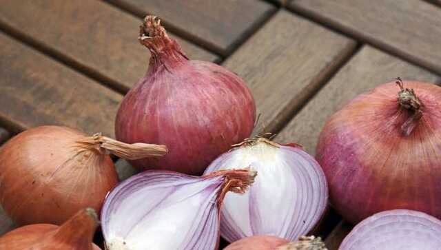 How is onion beneficial for our hair? How is onion beneficial for our hair?