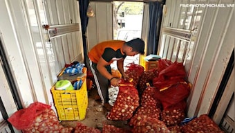 Filipino expats in UAE fly home with bags of onions as prices hit $11/kg in Manila