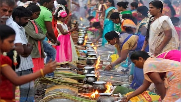 Pongal 2023: Special wishes to share with friends and family on this harvest festival