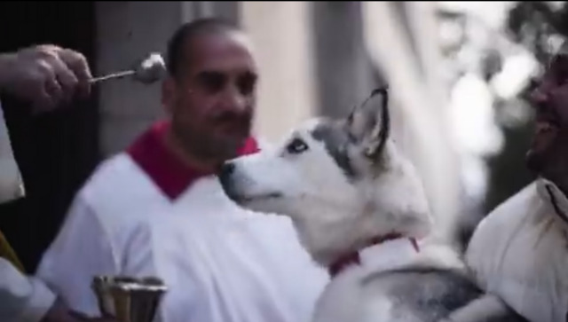 Viral video: Thousands gather in Spain to get their pets blessed on Day of St Anthony Viral video: Thousands gather in Spain to get their pets blessed on Day of St Anthony