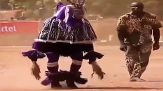 Video of 'most impossible dance in world' goes viral, users compare it to RRR's Naatu Naatu