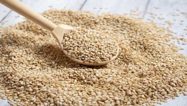 Makar Sankranti 2023: Significance of sesame seeds during this harvest festival Makar Sankranti 2023: Significance of sesame seeds during this harvest festival