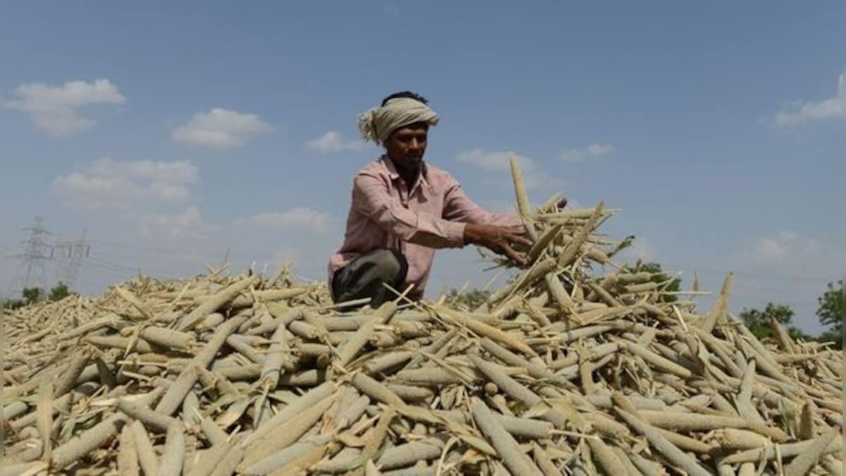 Millets are the New Yoga: India's big plan to make the cereals its biggest export in 2023