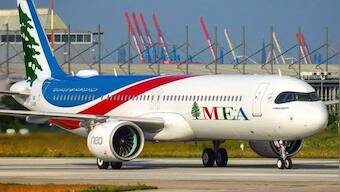 Middle East: Airline head threatens to shoot seagulls around Beirut airport