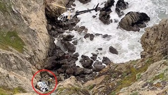 Tesla 'intentionally' falls from 300ft Californian cliff, occupants including children miraculously survive