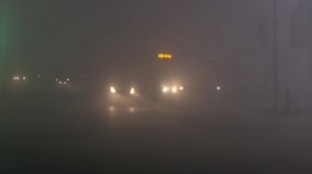 Trains, flights affected as dense fog grips North India