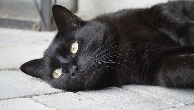 Darna Zaroori Hai: Is Friday the 13th a day to fear? Darna Zaroori Hai: Is Friday the 13th a day to fear?