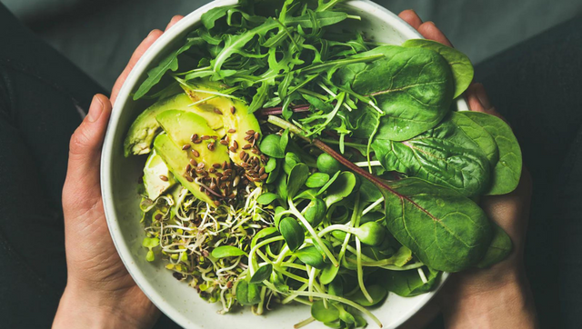 Scotland: Edinburgh makes vegan menu mandatory in govt institutions; 1st European capital to do so Scotland: Edinburgh makes vegan menu mandatory in govt institutions; 1st European capital to do so