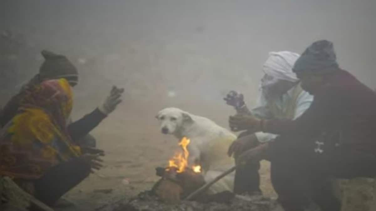 Weather report: Winter season observes a long dry spell, but active western disturbances to hit North India soon