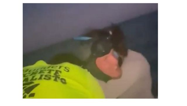 Viral video: Diver 'miraculously' rescued by family after he was swept away by Gulf Stream Viral video: Diver 'miraculously' rescued by family after he was swept away by Gulf Stream