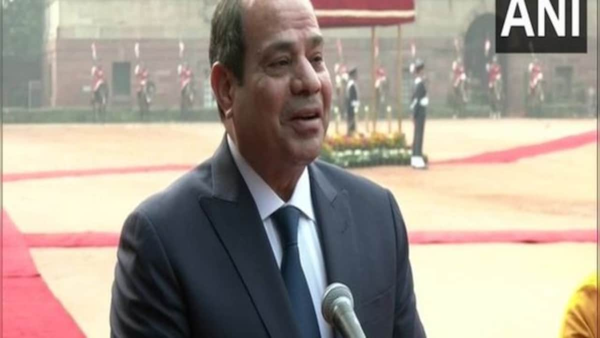 Egypt-India relations characterised by balance and stability: Abdel Fattah El-Sisi