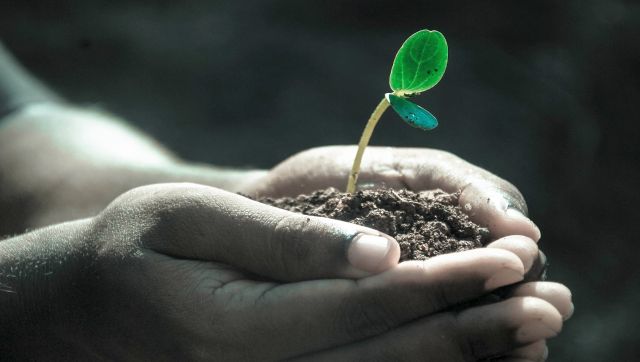 Beulah Acres Agroforest Composting Class - Denton County Master Gardener  Association