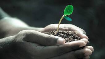 A Green Death: What is human composting that New York has recently allowed?