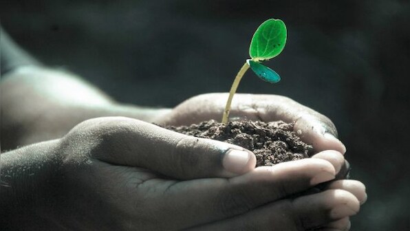 A Green Death: What is human composting that New York has recently allowed?