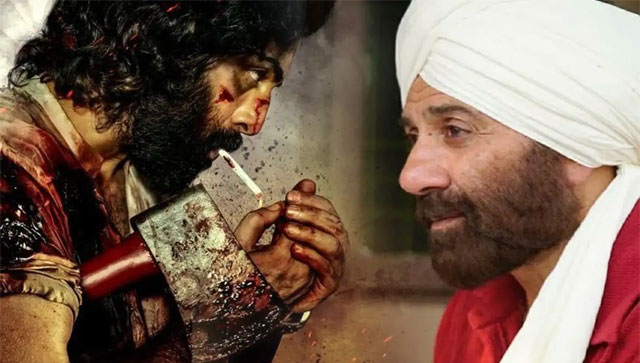 MASSIVE CLASH: Sunny Deol's Gadar 2 to take on Ranbir Kapoor's Animal at the box-office on August 11, 2023 MASSIVE CLASH: Sunny Deol's Gadar 2 to take on Ranbir Kapoor's Animal at the box-office on August 11, 2023