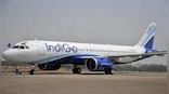 IndiGo air hostess pays tribute to 'co-worker' mom on Mother's Day; video wins hearts