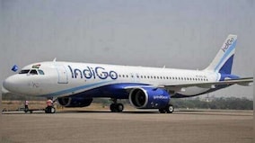 IndiGo air hostess pays tribute to 'co-worker' mom on Mother's Day; video wins hearts