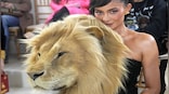 Fashion Faux-Paw: Did Kylie Jenner take it too far with her latest lion head dress?