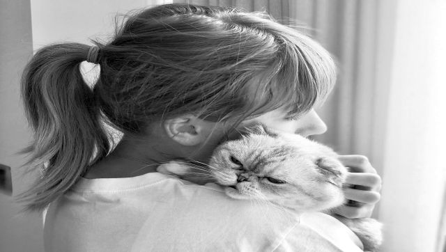 Taylor Swift’s cat is worth Rs 800 crore: Just how do pets become Richie Rich? Taylor Swift’s cat is worth Rs 800 crore: Just how do pets become Richie Rich?