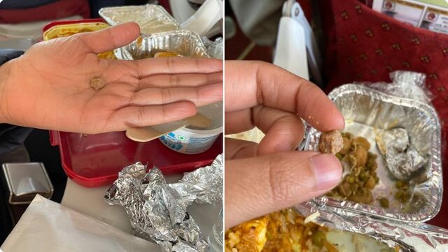 Journalist discovers stone in Air India meal on New York-Delhi flight after 'pee gate' row Journalist discovers stone in Air India meal on New York-Delhi flight after 'pee gate' row