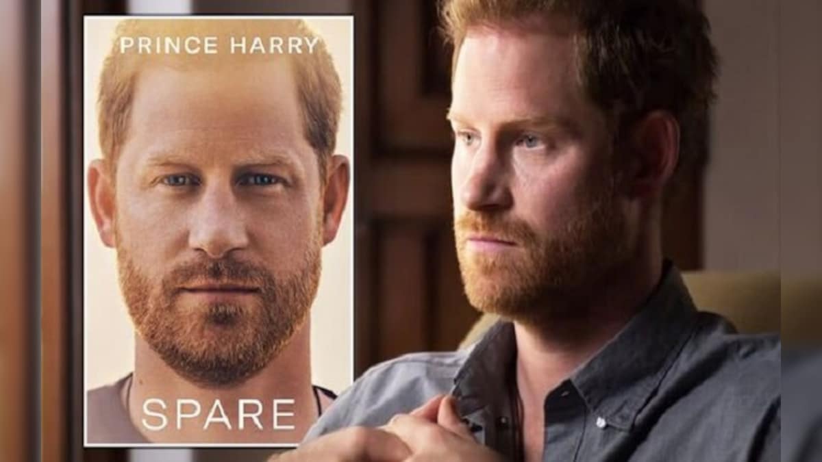 EXPLAINED: How Prince Harry’s Spare exposes the royal dark secrets including King Charles affair with Camilla