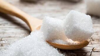 India exports 16.92 lac tons of sugar till January 4 of 2022-23; over 59,000 tons to China