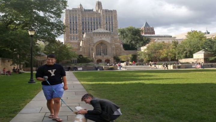 Explained: How Yale and Oxford can open campuses in India now