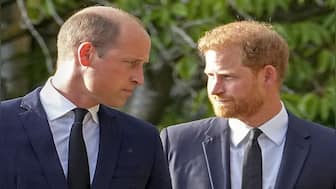 Bombshell Alert! Did Prince William assault Harry, encourage him to wear Nazi uniform?