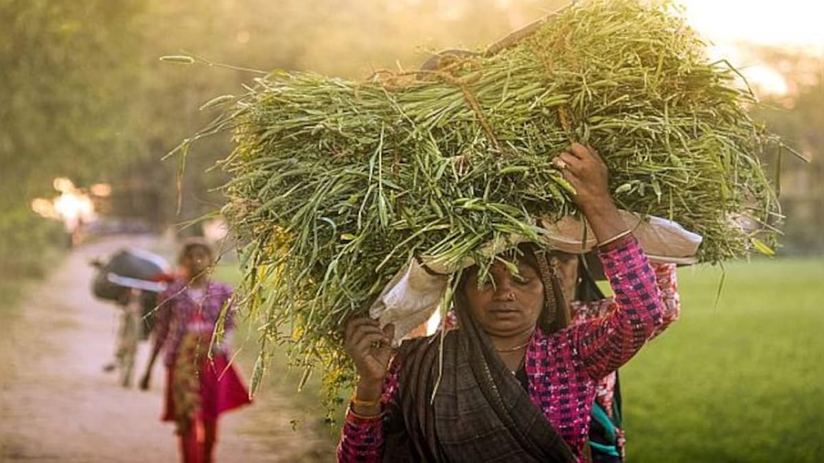 Women work harder than men. This anthropological study in rural China shows us why