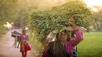 Women work harder than men. This anthropological study in rural China shows us why