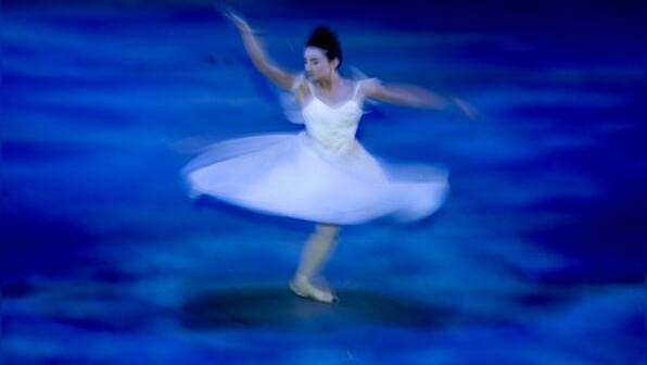 German ballet chief allegedly wipes dog poo on critic's face for giving ...