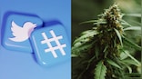 A different high: Twitter becomes the first social media company in the US to allow cannabis ads 