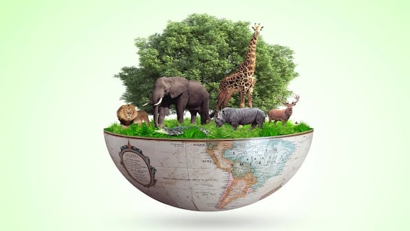 Why we need to address biodiversity loss for a  sustainable and ecologically-balanced  planet