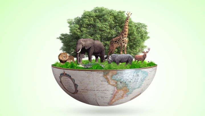 Why we need to address biodiversity loss for a  sustainable and ecologically-balanced  planet