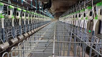 How China plans to improve its food production by building giant towers of pigs