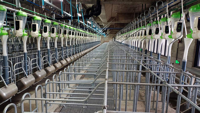 How China plans to improve its food production by building giant towers of pigs How China plans to improve its food production by building giant towers of pigs