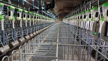 How China plans to improve its food production by building giant towers of pigs