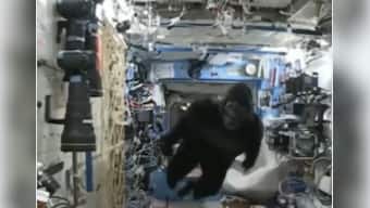 Viral video shows astronaut scaring off crew member in gorilla suit during space flight; watch